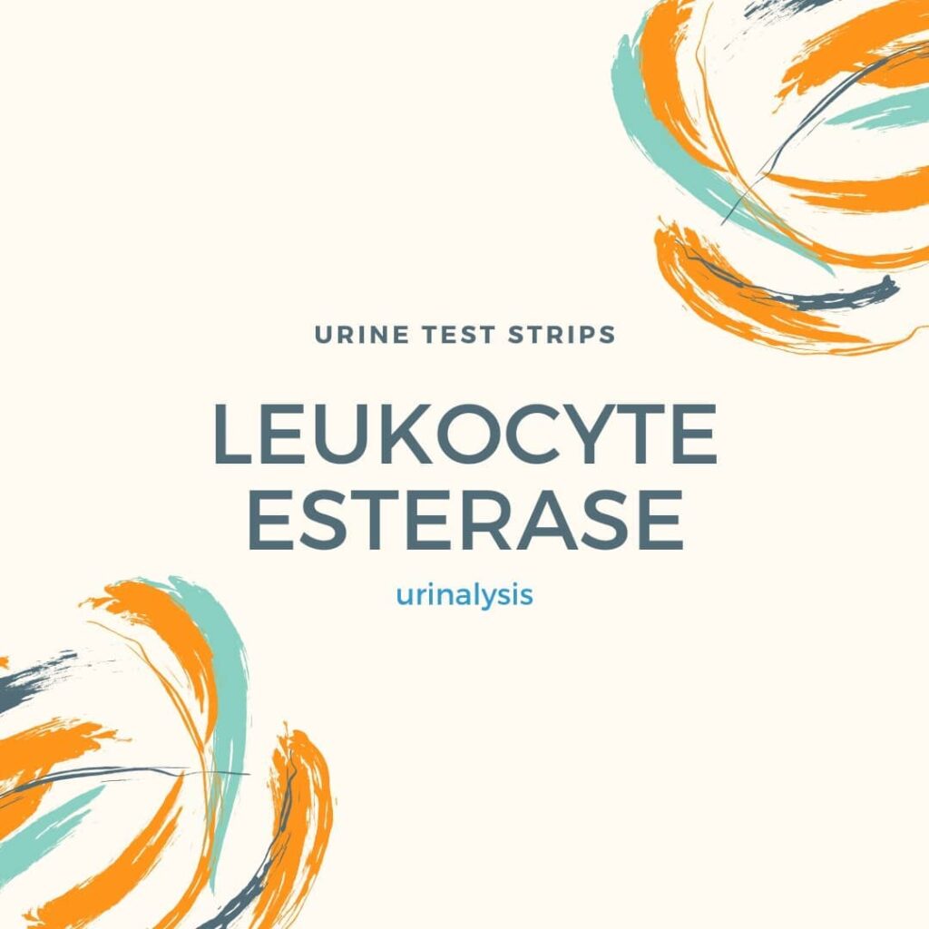 Leukocyte Esterase Urine Test Strips 6689